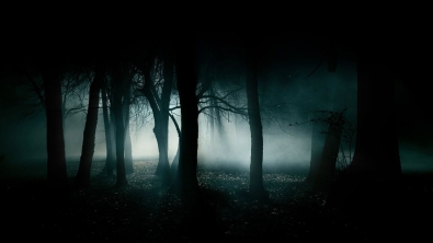horror-forest