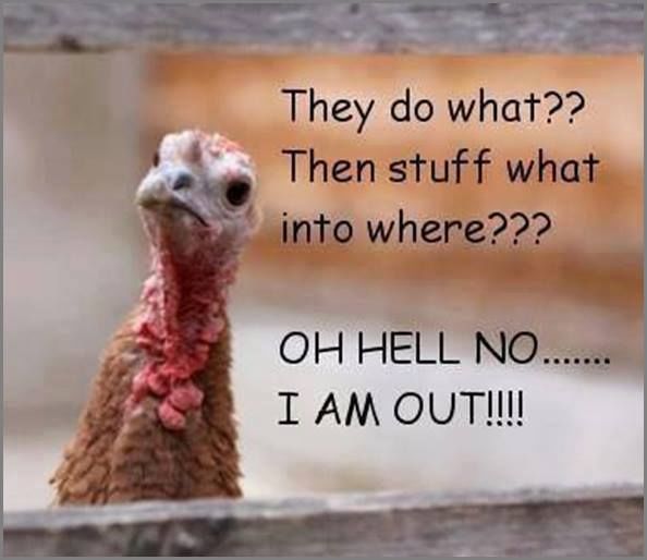 Weekly Funnies- Turkeys are People Too! (sort of)