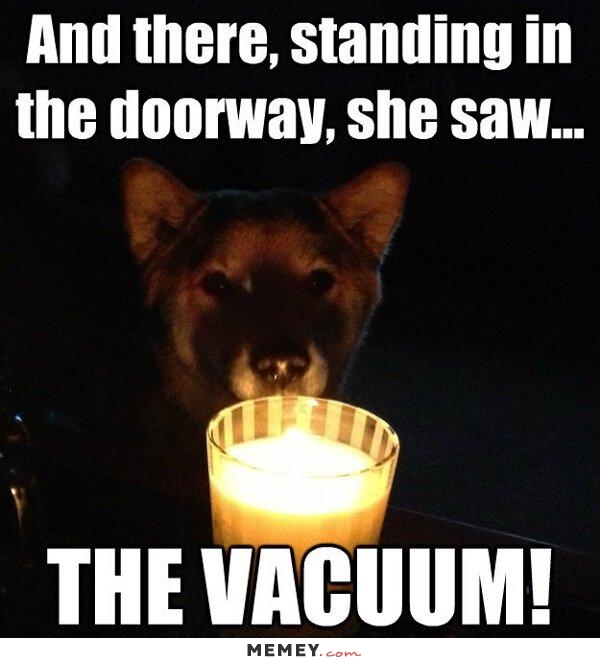 funny-scary-dog